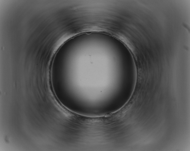 X0000097751187200803071241
