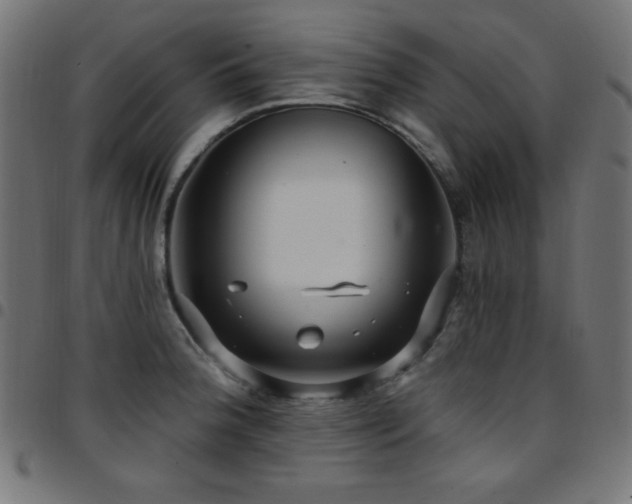 X0000097751188200803071241