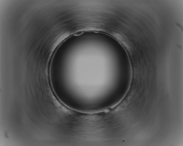 X0000097751189200803071241