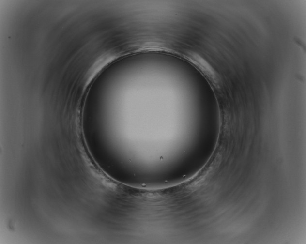 X0000097751190200803071241