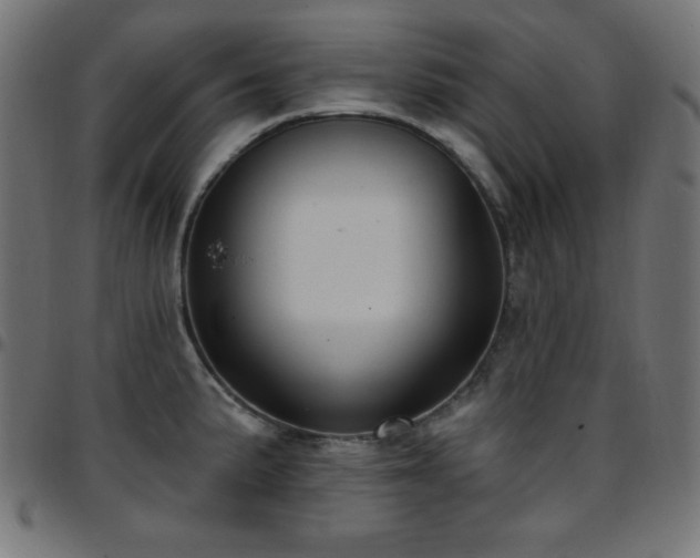 X0000097751191200803071241