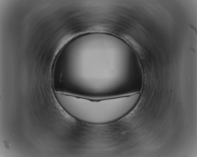 X0000097751192200803071241