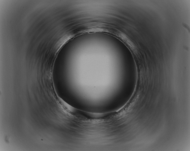 X0000097751193200803071241