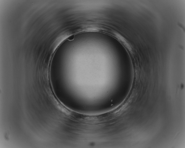 X0000097751194200803071241