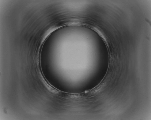 X0000097751195200803071241