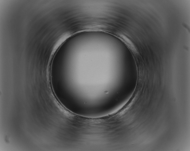 X0000097751196200803071241