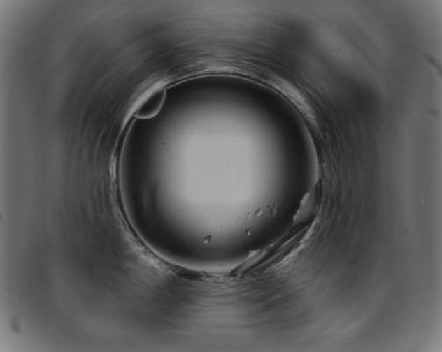 X0000097751198200803071241