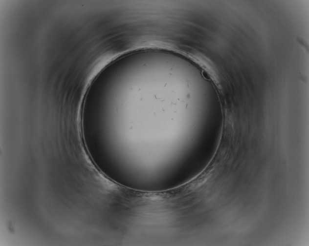 X0000097751199200803071241