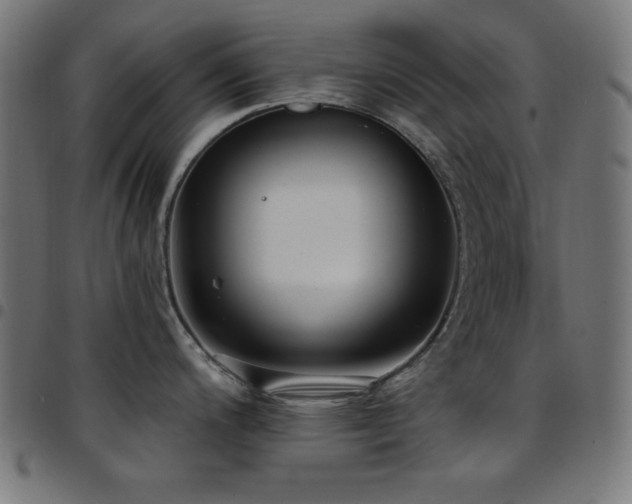 X0000097751200200803071241