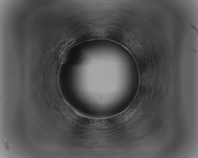 X0000097751201200803071240