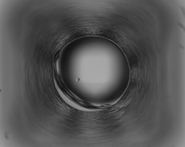 X0000097751202200803071240