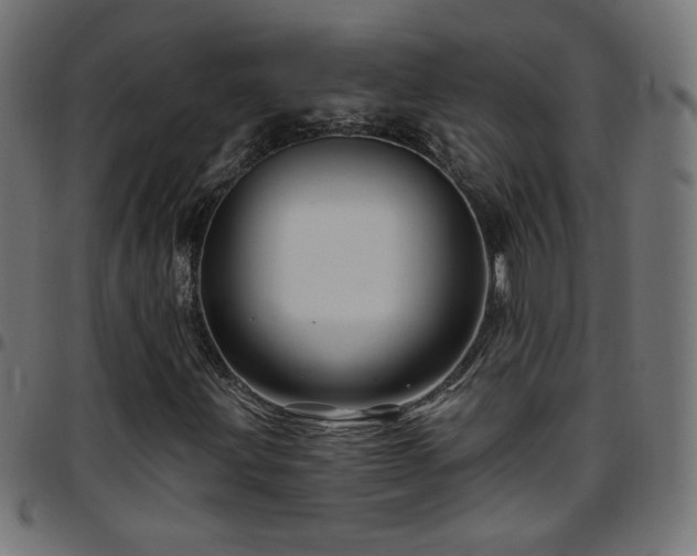 X0000097751203200803071240