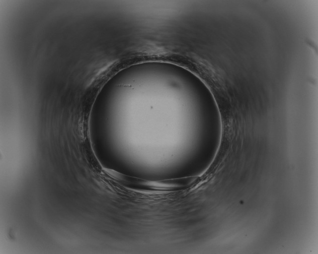 X0000097751205200803071240