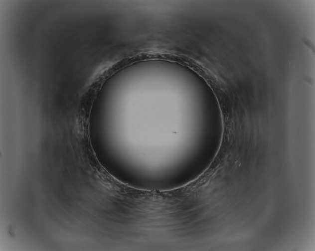 X0000097751207200803071240