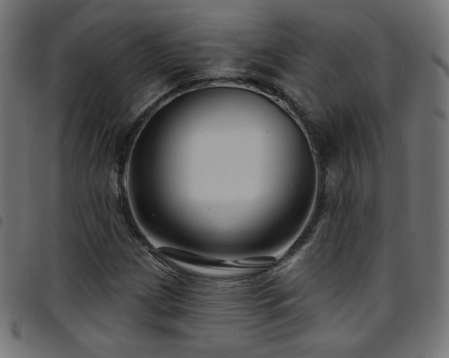 X0000097751209200803071241