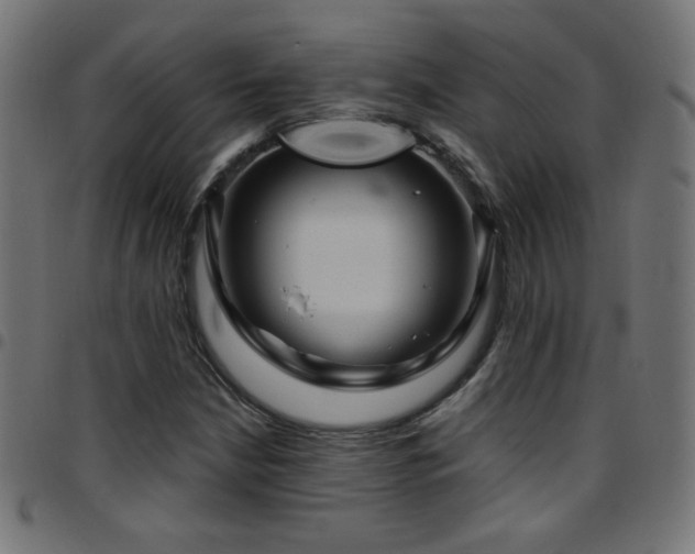 X0000097751210200803071241