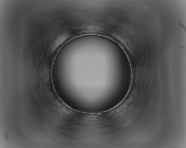 X0000097751211200803071241