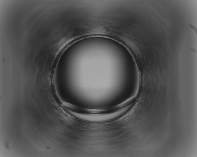 X0000097751212200803071241