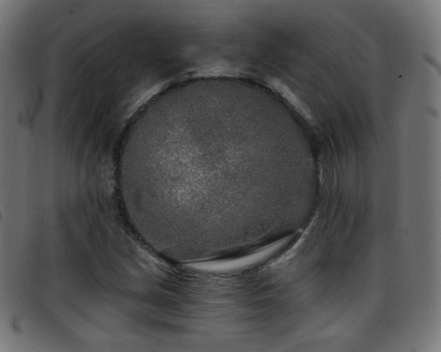 X0000097751213200803071241