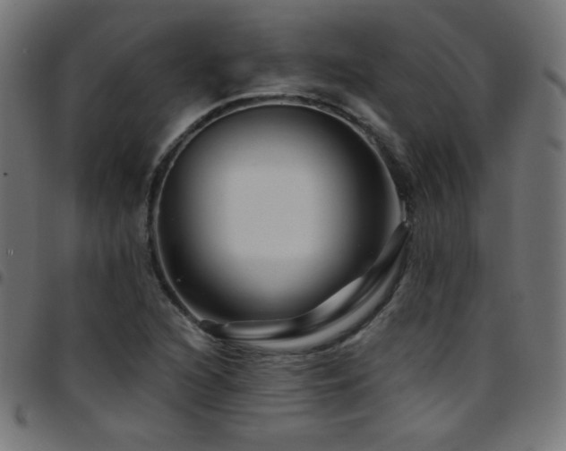 X0000097751216200803071241