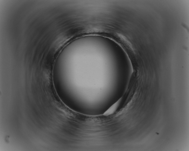 X0000097751217200803071241