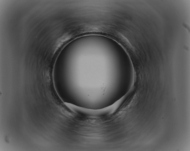 X0000097751218200803071241