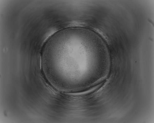 X0000097751219200803071241