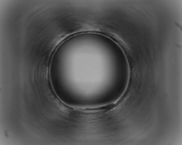 X0000097751220200803071241