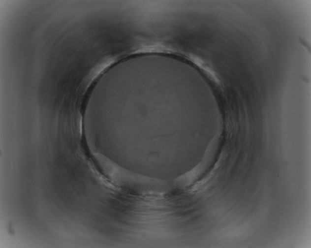 X0000097751221200803071241