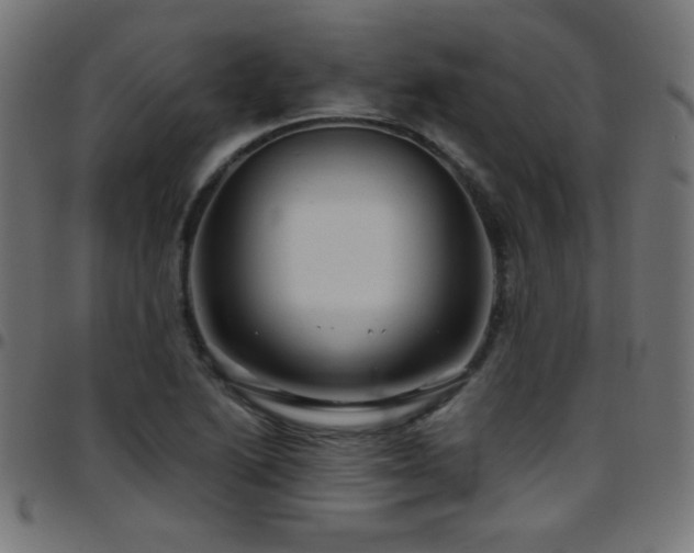 X0000097751222200803071241
