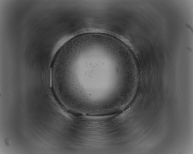 X0000097751223200803071241