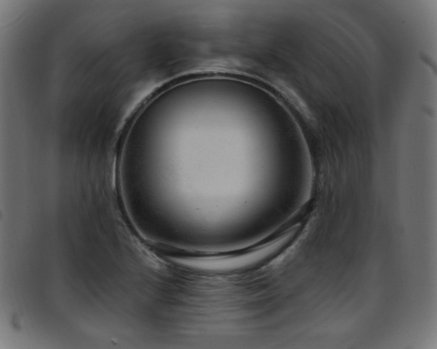 X0000097751224200803071241