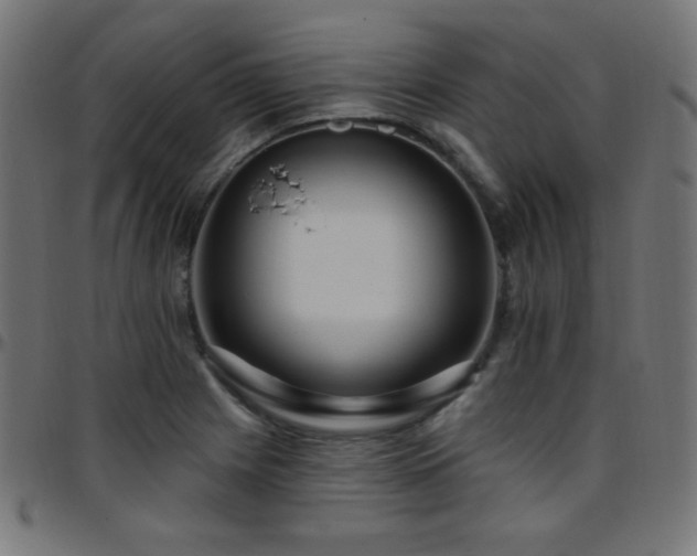 X0000097751225200803071241