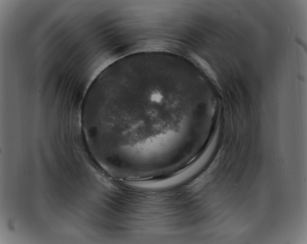 X0000097751226200803071241