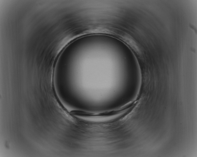 X0000097751228200803071241
