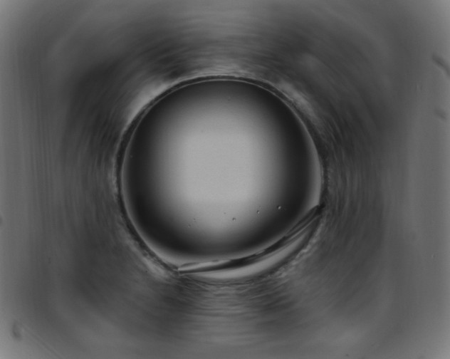 X0000097751230200803071241