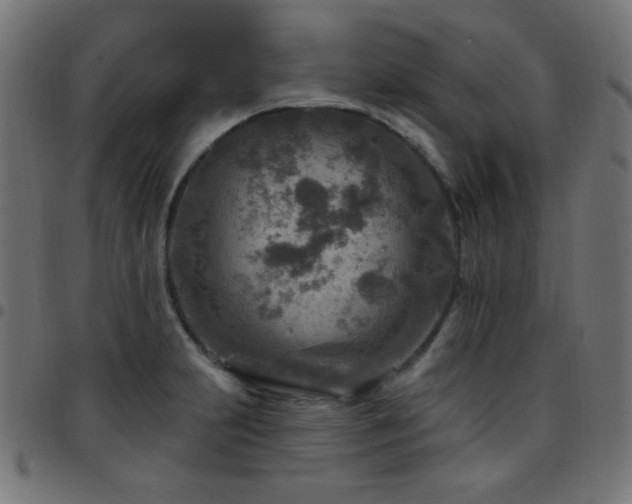 X0000097751231200803071241