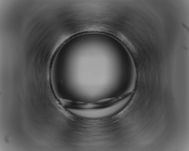 X0000097751232200803071241