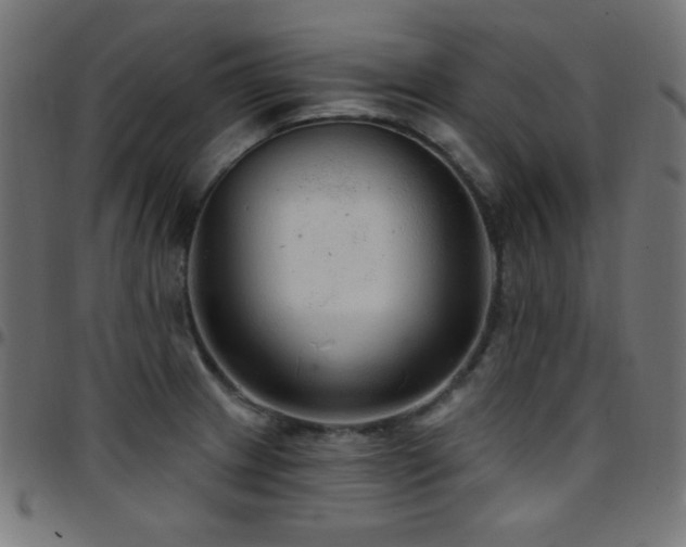 X0000097751233200803071241