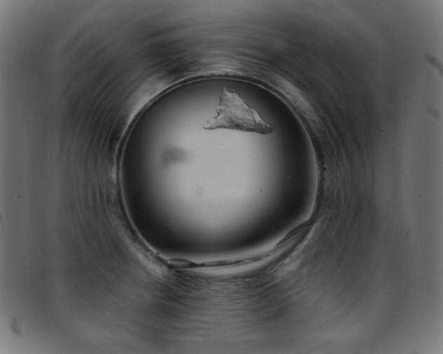 X0000097751234200803071241