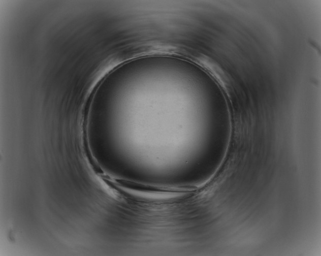 X0000097751235200803071241