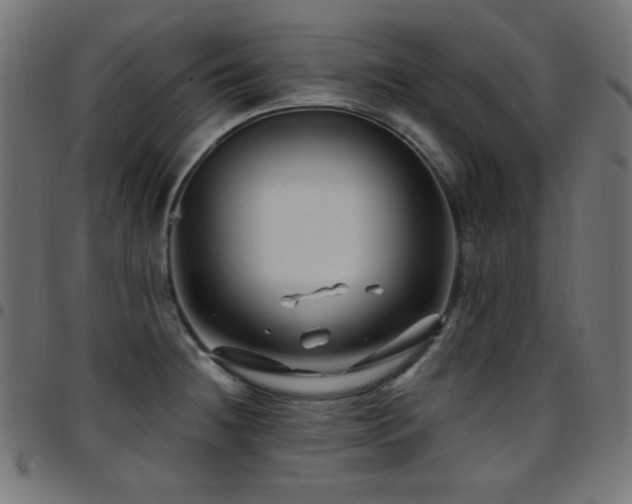 X0000097751236200803071241