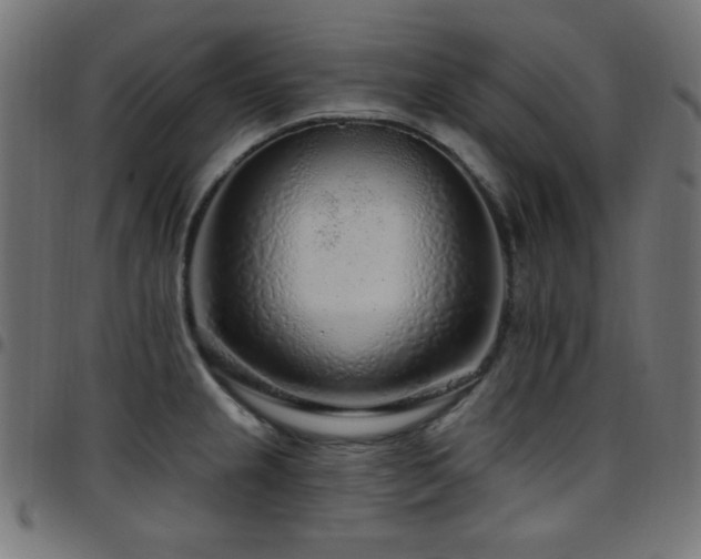 X0000097751237200803071241