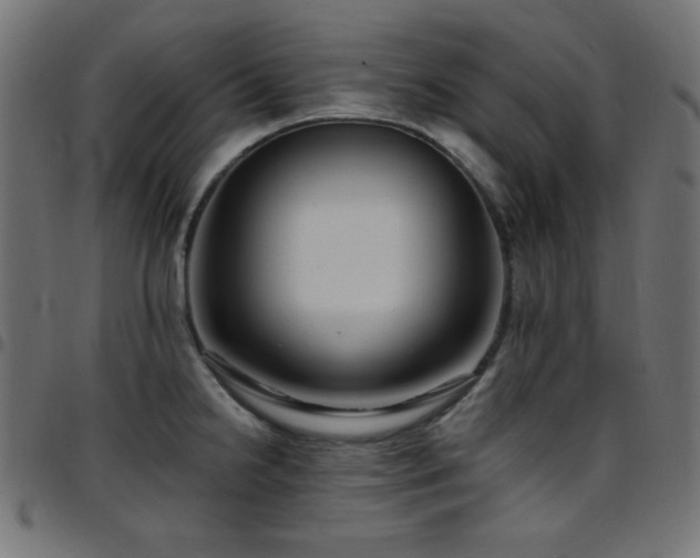 X0000097751238200803071241
