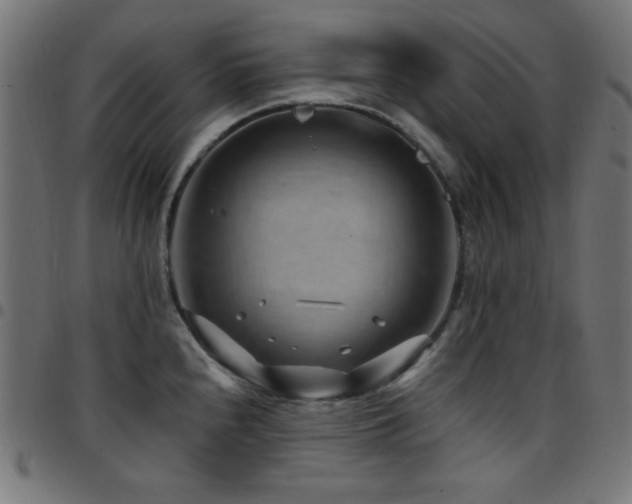 X0000097751240200803071241