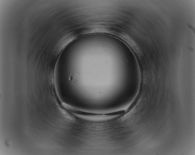 X0000097751241200803071241