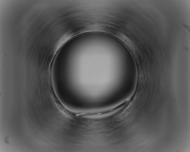 X0000097751242200803071241