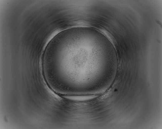X0000097751243200803071241