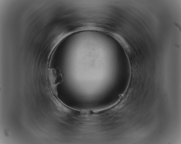 X0000097751244200803071241