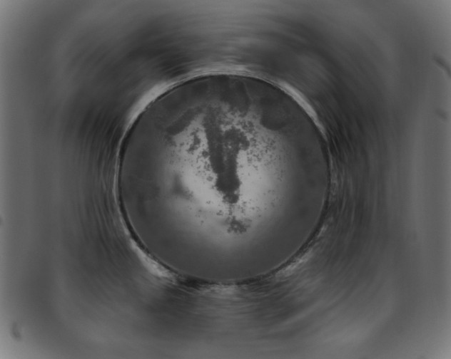 X0000097751245200803071241